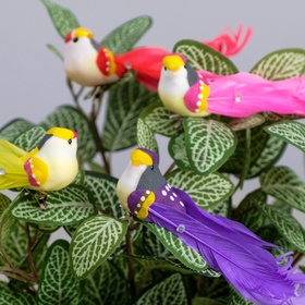 Декор на прищепке «Птица», МИКС, набор 6 шт., 16?3?4 см (комплект 6 шт)