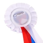 Медаль на выпускной "Выпускник детского сада", 8 см, Смешарики  (артикул 7335801)  большой выбор товаров оптом и в розницу по низким ценам с доставкой