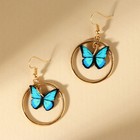 Серьги с кольцами «Расцветай от счастья» - Фото 2