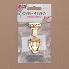 Застёжка для сумки, 2,7 × 3,8 см, цвет золотой - фото 24579064