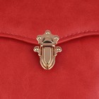 Застёжка для сумки, 3,2 × 4,6 см, цвет золотой - фото 804877214