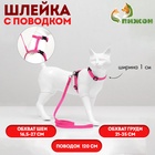 Комплект для кошек, ширина 1 см, ОШ 16,5-27 см, ОГ 21-35 см, поводок 120 см, розовый - Фото 1