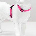Комплект для кошек, ширина 1 см, ОШ 16,5-27 см, ОГ 21-35 см, поводок 120 см, розовый - Фото 2