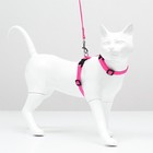 Комплект для кошек, ширина 1 см, ОШ 16,5-27 см, ОГ 21-35 см, поводок 120 см, розовый - Фото 4