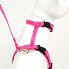 Комплект для кошек, ширина 1 см, ОШ 16,5-27 см, ОГ 21-35 см, поводок 120 см, розовый - Фото 5