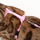 Комплект для кошек, ширина 1 см, ОШ 16,5-27 см, ОГ 21-35 см, поводок 120 см, розовый - Фото 9