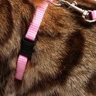 Комплект для кошек, ширина 1 см, ОШ 16,5-27 см, ОГ 21-35 см, поводок 120 см, розовый - Фото 10