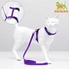 Комплект для кошек, ширина 1 см, ОШ 16,5-27 см, ОГ 21-35 см, поводок 120 см, фиолетовый - фото 9787073