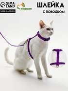 Комплект для кошек, ОШ 16.5-27 см, ОГ 21-35 см, ширина 1 см, поводок 120 см, фиолетовый - Фото 1