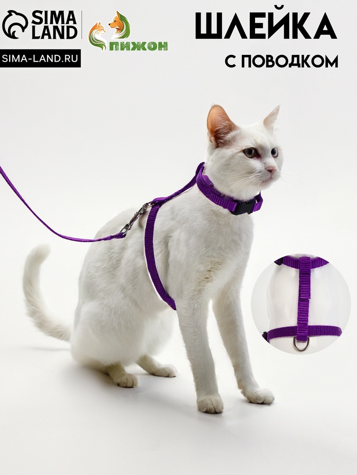 Комплект для кошек, ОШ 16.5-27 см, ОГ 21-35 см, ширина 1 см, поводок 120 см, фиолетовый - Фото 1