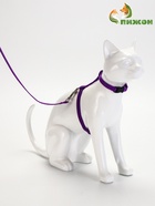 Комплект для кошек, ОШ 16.5-27 см, ОГ 21-35 см, ширина 1 см, поводок 120 см, фиолетовый - Фото 2