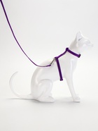 Комплект для кошек, ОШ 16.5-27 см, ОГ 21-35 см, ширина 1 см, поводок 120 см, фиолетовый - Фото 3