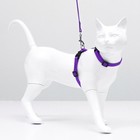 Комплект для кошек, ширина 1 см, ОШ 16,5-27 см, ОГ 21-35 см, поводок 120 см, фиолетовый - фото 7786015