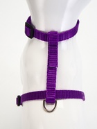 Комплект для кошек, ОШ 16.5-27 см, ОГ 21-35 см, ширина 1 см, поводок 120 см, фиолетовый - Фото 4