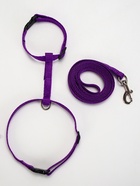 Комплект для кошек, ОШ 16.5-27 см, ОГ 21-35 см, ширина 1 см, поводок 120 см, фиолетовый - Фото 5