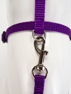 Комплект для кошек, ОШ 16.5-27 см, ОГ 21-35 см, ширина 1 см, поводок 120 см, фиолетовый - Фото 6