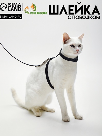 Комплект для кошек, ширина 1 см, ОШ 16.5-27 см, ОГ 21-35 см, поводок 120 см, чёрный