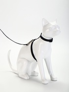 Комплект для кошек, ширина 1 см, ОШ 16.5-27 см, ОГ 21-35 см, поводок 120 см, чёрный - Фото 2