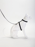 Комплект для кошек, ширина 1 см, ОШ 16.5-27 см, ОГ 21-35 см, поводок 120 см, чёрный - Фото 3