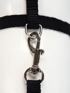 Комплект для кошек, ширина 1 см, ОШ 16.5-27 см, ОГ 21-35 см, поводок 120 см, чёрный - Фото 6