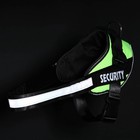 Шлейка К9 мягкая светоотражающая, размер M, ОГ 55-65 см, вес 11-20 кг, зелёная - Фото 2