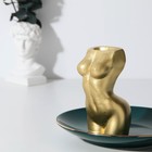 Подставка для зубочисток «Женское тело», золотая - Фото 2