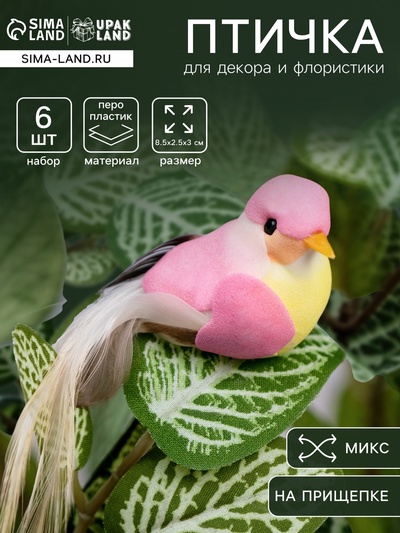 Декор на прищепке «Птица», МИКС, 8.5×2, 5×3 см