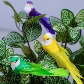 Декор на прищепке «Птица», МИКС, 10?3?3 см (комплект 6 шт)