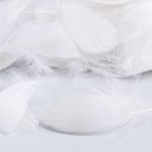 Наполнитель из перьев для шаров и подарков, белый, 10-12 см 8 г 7521565 - фото 16293870