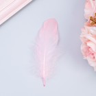 Наполнитель из перьев для шаров и подарков, пудра, 10-12 см 8 г - Фото 1