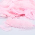 Наполнитель из перьев для шаров и подарков, пудра, 10-12 см 8 г - Фото 2