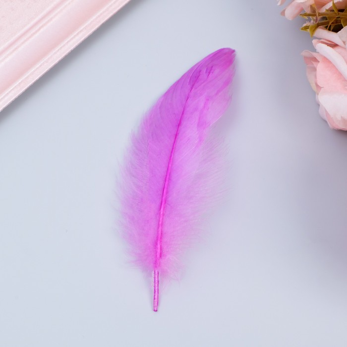 Наполнитель из перьев для шаров и подарков, светло-фиолетовый, 10-12 см 8 г - Фото 1