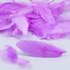 Наполнитель из перьев для шаров и подарков, светло-фиолетовый, 10-12 см 8 г - фото 6619754