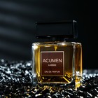 Парфюмерная вода мужская ACUMEN Ambre, 100 мл - фото 35437491