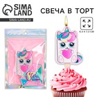Свеча для торта «С Днём Рождения», котик, 4.3×7.3 см - Фото 1