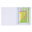 Тетрадь предметная 48 листов, клетка, "Химия", Человек-паук - фото 24579069