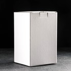 Кувшин для воды стеклянный с крышкой «Эко. Флора», 9×21 см - Фото 4