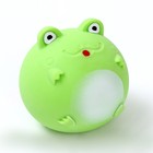 Мялка «Лягушка» с пастой, цвета МИКС - фото 21630390