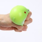 Мялка «Лягушка» с пастой, цвета МИКС - фото 21630391