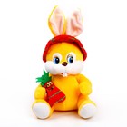 Мягкая игрушка «Кролик в панаме», 16 см - Фото 1