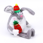 Мягкая игрушка «Кролик с подарком» - Фото 2