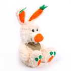 Мягкая игрушка «Кролик», с морковками, цвета МИКС - фото 6620409