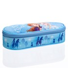 Пенал-футляр 85 х 210 х 50 мм, мягкий, текстильный, Холодное сердце - фото 35189428