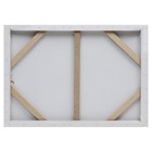 Картина - холст на подрамнике «Перья», 50×70 см 9035887