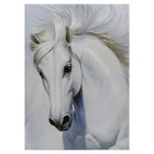 Картина-холст на подрамнике "Белый конь"  50х70 см - фото 318916913