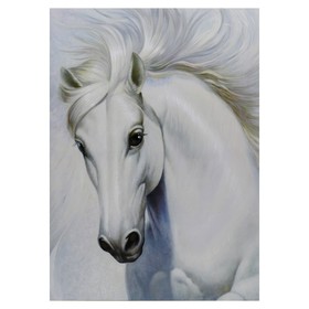 Картина-холст на подрамнике "Белый конь"  50х70 см