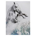 Картина-холст на подрамнике "Конь" 50х70 см - фото 318916958