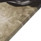 Картина-холст на подрамнике "Нежность" 60х100 см 9035936