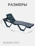 Шезлонг «Новый Свет», 187×63×43 см, зелёный - Фото 2