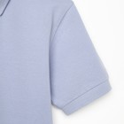 Футболка (поло) мужская MINAKU REGULAR FIT: цвет серый, р-р 44 7576592 - фото 9789726